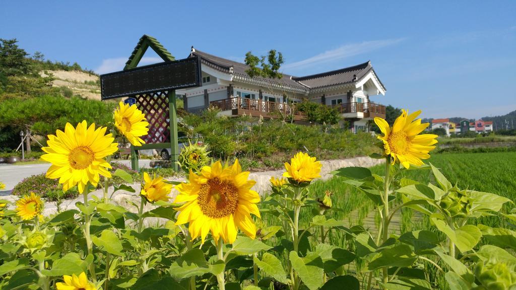 Starlight Journey Pension Gyeongju Ngoại thất bức ảnh